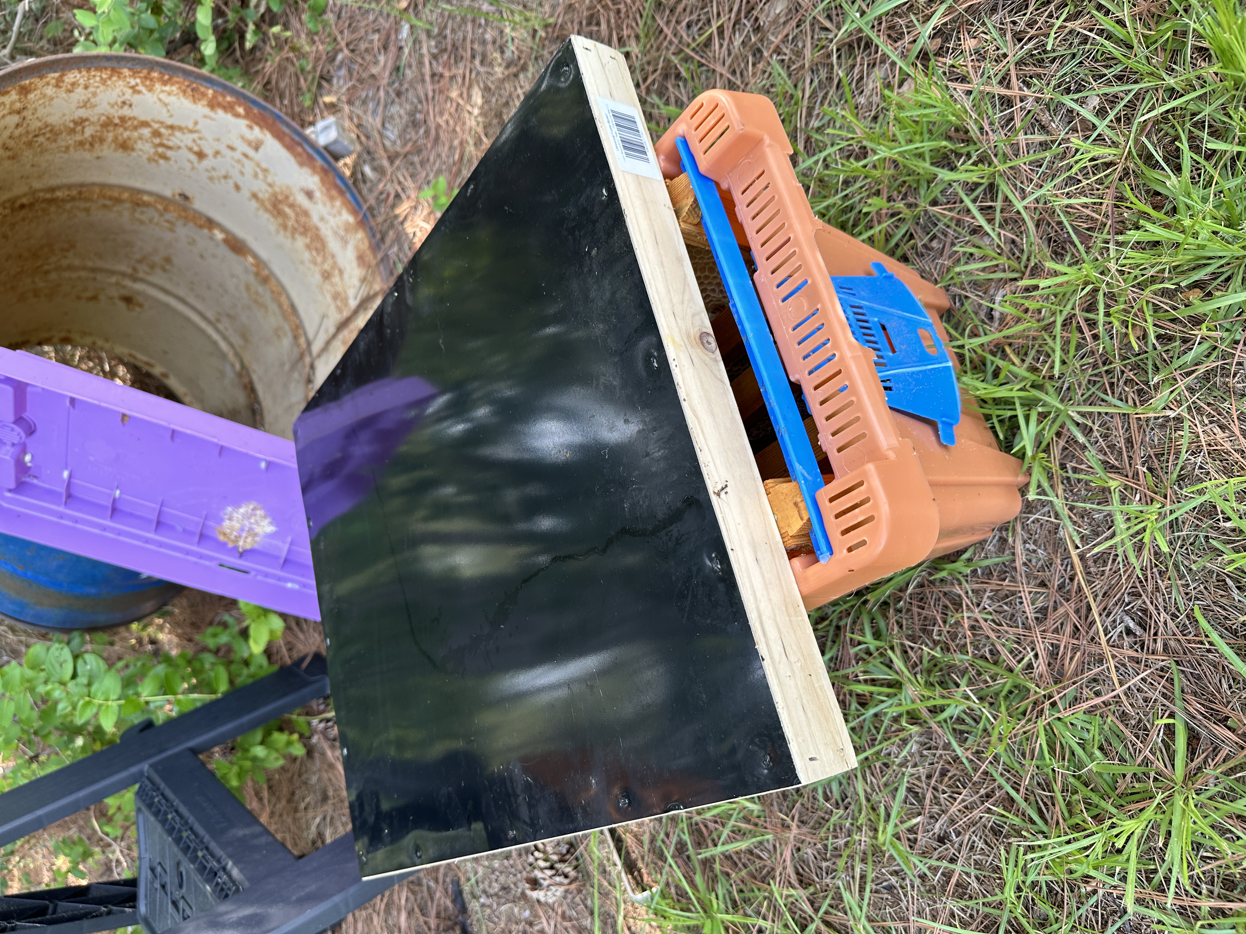 Honey Harvest